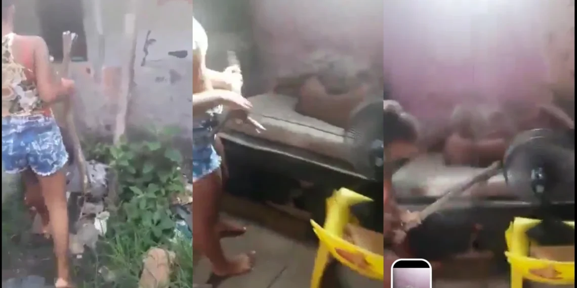 Watch Moment Jealous Girlfriend Mercilessly Brutalizes A Girl She Caught Ñakēd With Her Boyfriend.(Video)